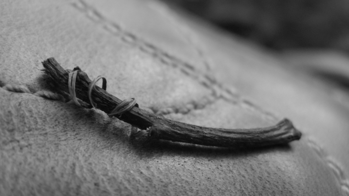 A small twig on leather