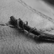 A small twig on leather